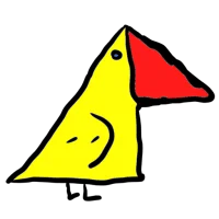 THE DUCK CODE