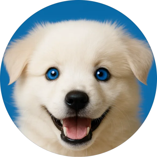 Viral Dog