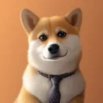 CEO