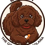 BERRY Charity Dog