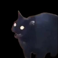 Morse Cat
