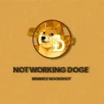 Not Working Doge