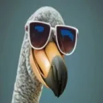 DODO Token