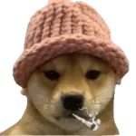 dogwifblunt