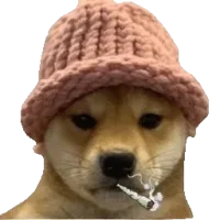 dogwifblunt
