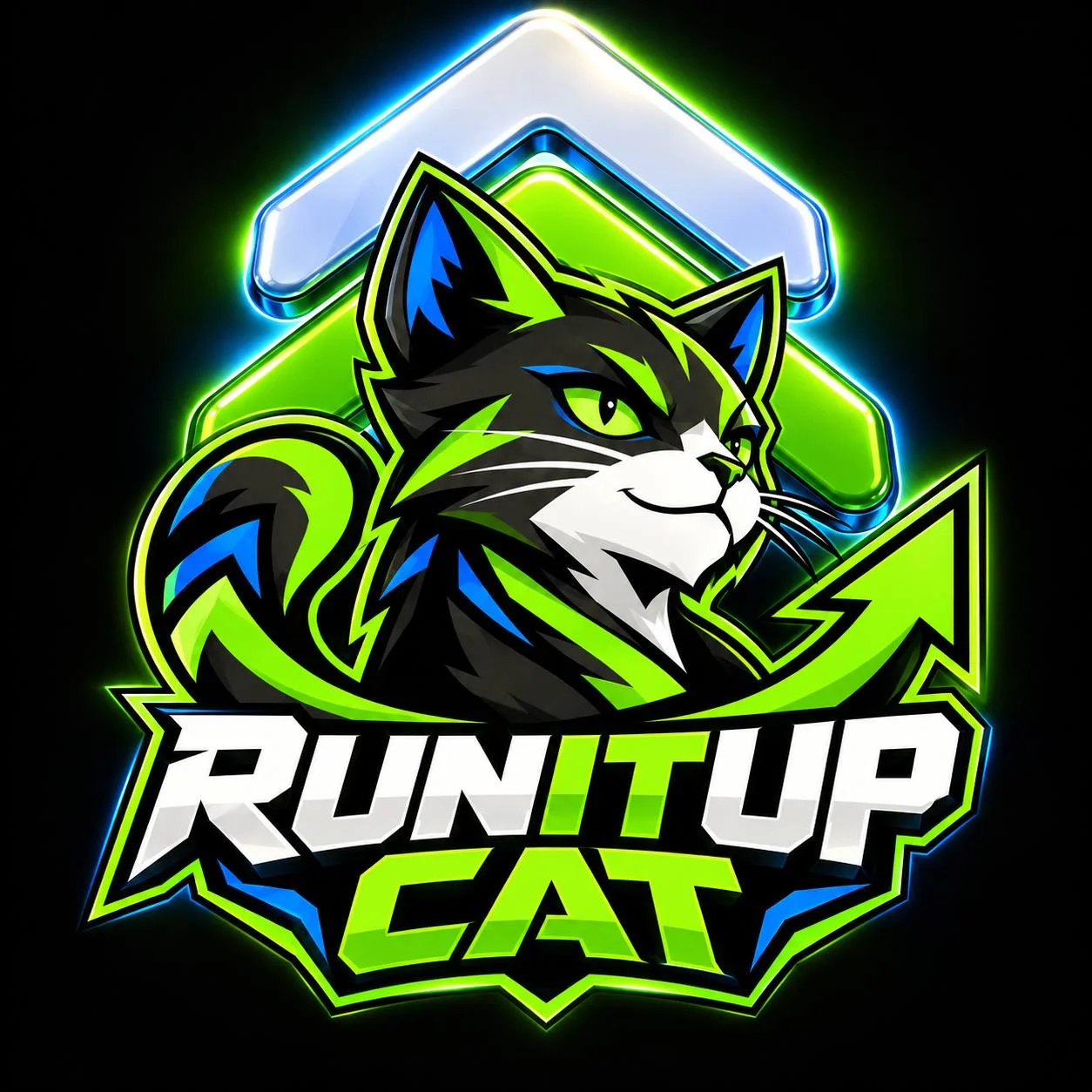 Runitup Cat