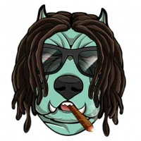 Dog Club