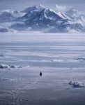 Nietzschean Penguin