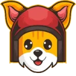 CatsRace