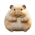 ChonkyHamster