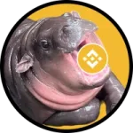 Cutoshi on bnb