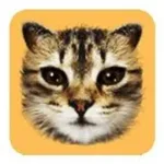 #cat
