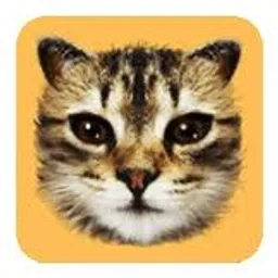 #cat