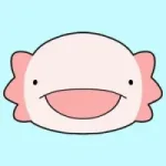 Axolotl