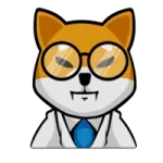 DoctorShiba Token