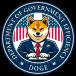 Department of Government Efficiency