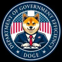 Department of Government Efficiency