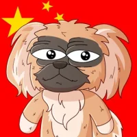 Pekingese Dog