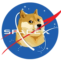 SpaceX Doge