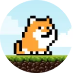 PlayDoge