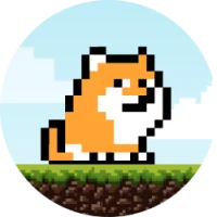 PlayDoge