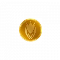 WorldCup Chain