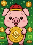 BNB PIGTOKEN
