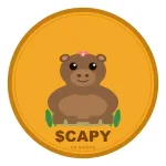 Capybara