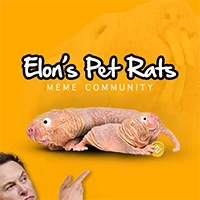 Elons Pet Rats