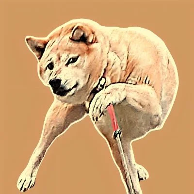 RebelInuX