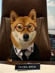 Flōki ceo of x