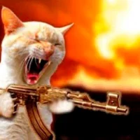 CATWIFAK