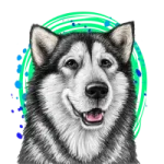 HUSMUT