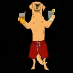 DogWifShorts
