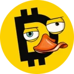 Yellow Duckies