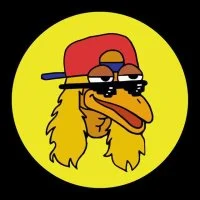 Bird Dog
