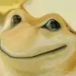 PEPEDOGE