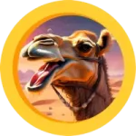 Hump Coin