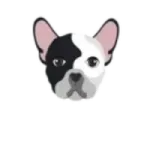 BullDogKing