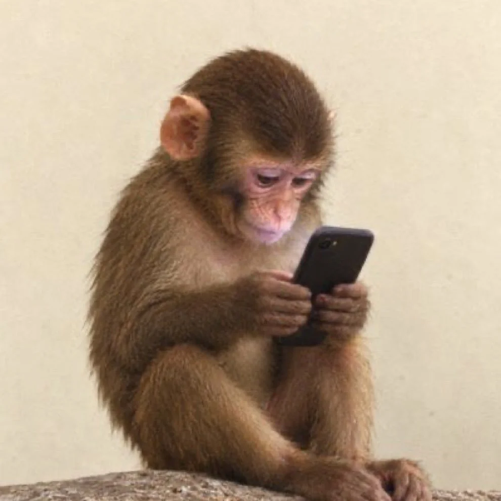 apeonfone