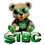Teddy Bear Coin
