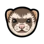 Ferret Coin