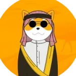 ArabianShiba