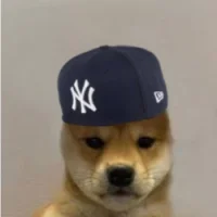 DogWIFNoBrim